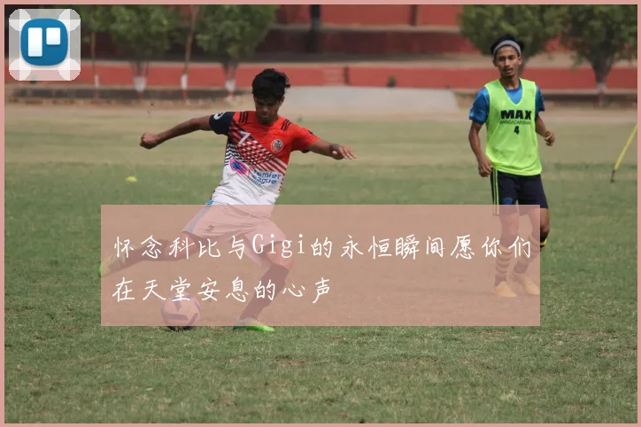 怀念科比与Gigi的永恒瞬间愿你们在天堂安息的心声